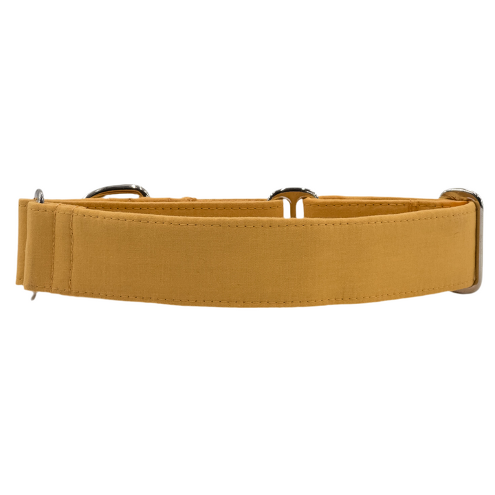 Martingale Collar – Pumpkin Spice