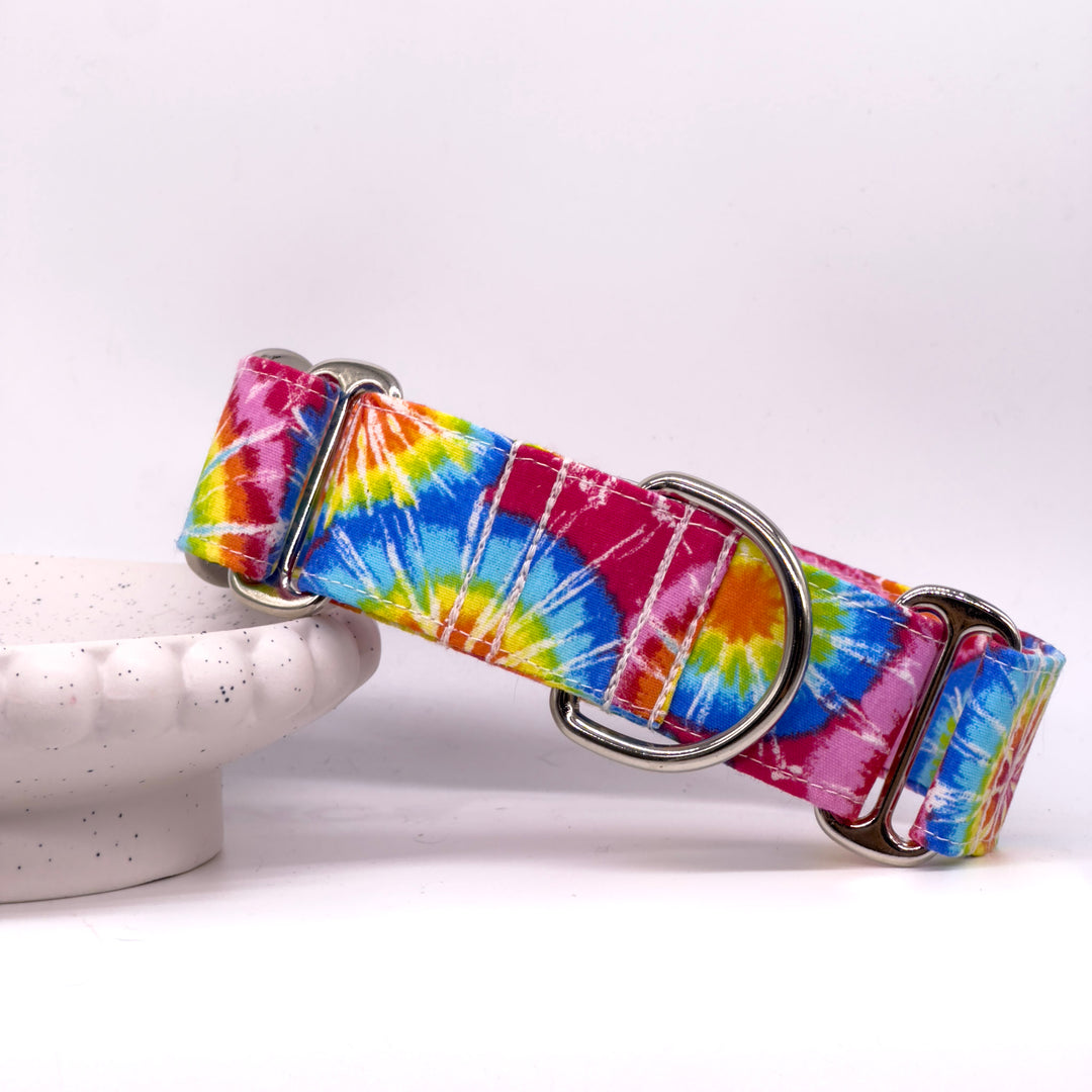 Martingale Collar - Rainbow Rapture Tie-Dye