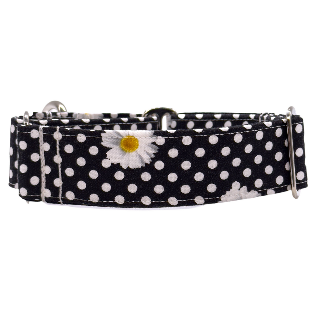 Martingale Collar - Polka Petal Elegance
