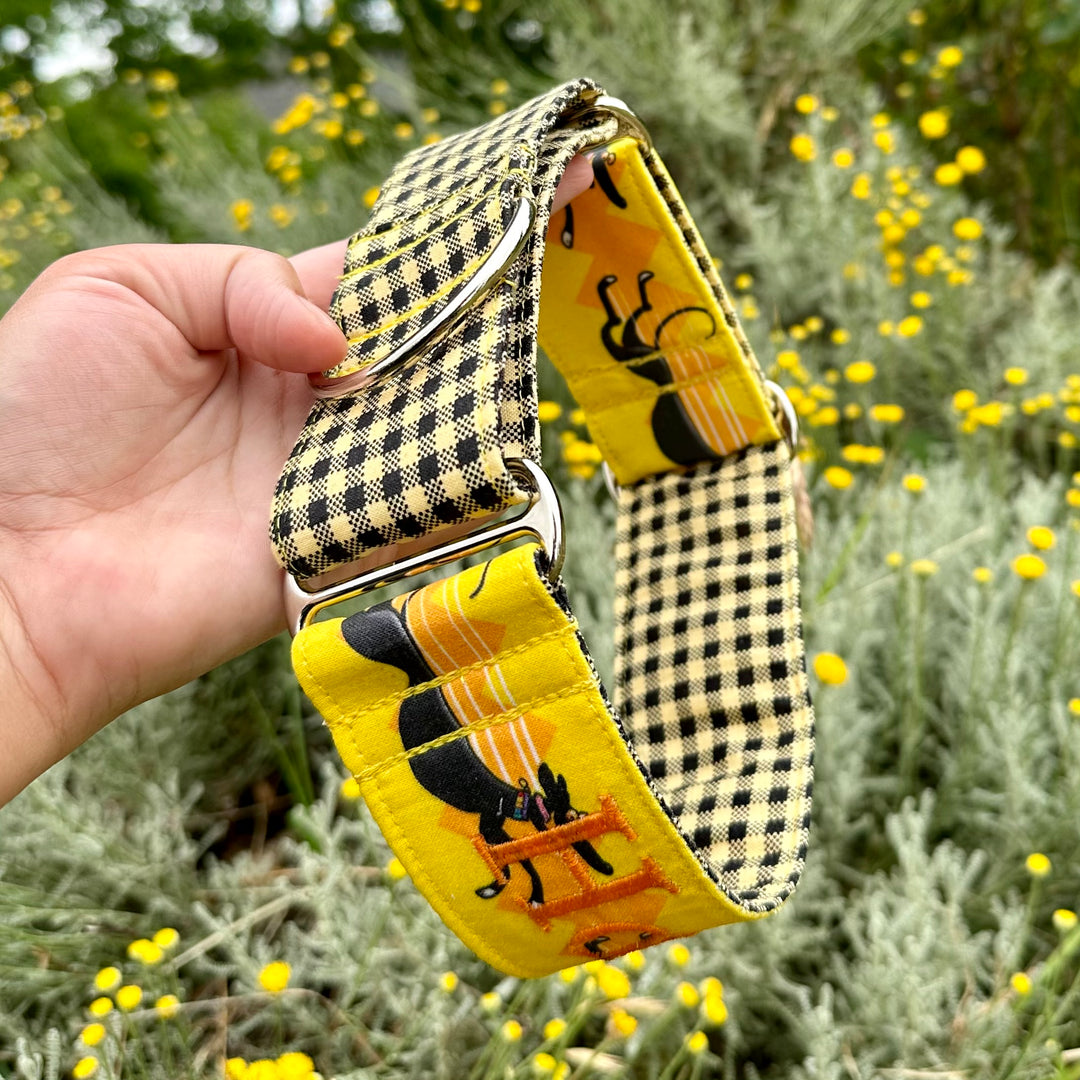Greyhound martingale dog collar. Richard Skipworth Custom Martingale Collar Personalised with golden thread.
