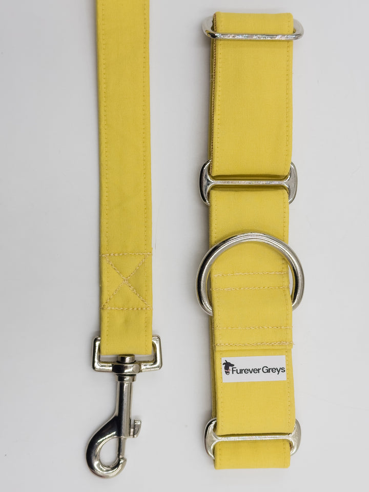 Martingale Collar – Limoncello