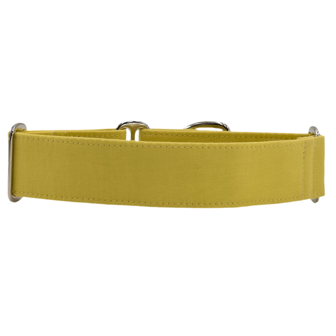 Martingale Collar – Limoncello