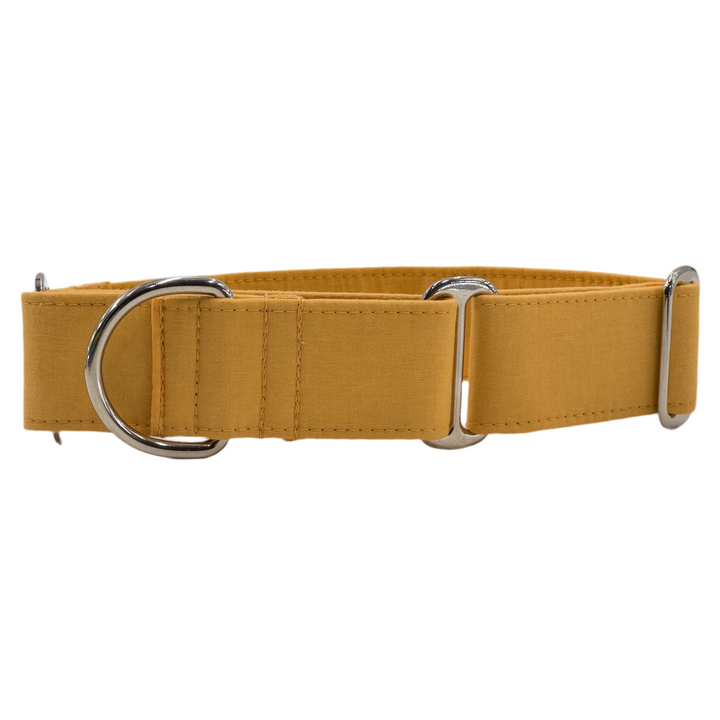 Martingale Collar – Pumpkin Spice