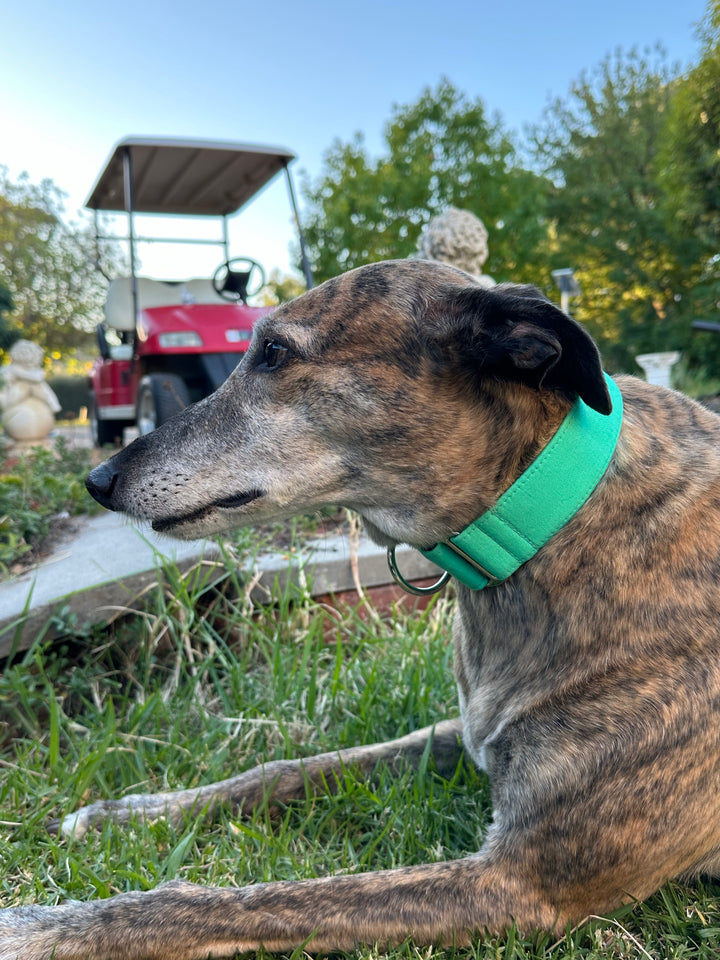 Martingale Collar – Mojito