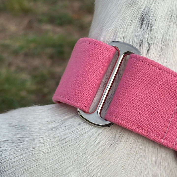 Martingale Collar – Pinky Puppy Club