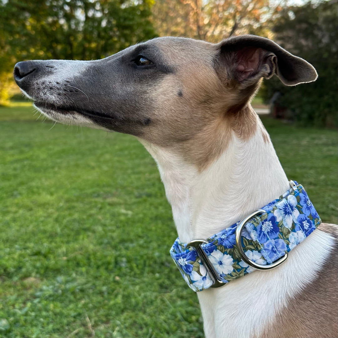 Martingale Collar - Blue Eden