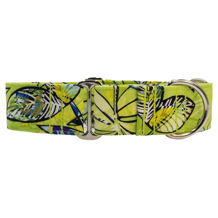 Martingale Collar - Tropical Splice