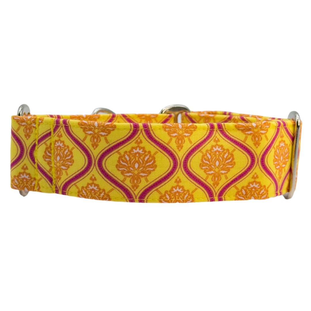 Martingale Collar - Tropic-Floral Tango