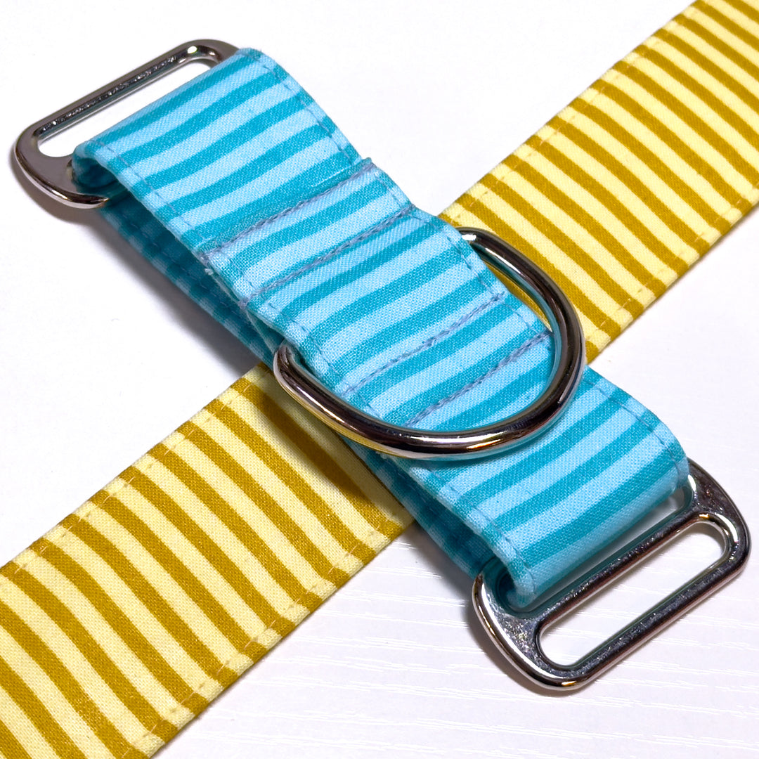 Design Your Collar - Spectrum Stripes Custom Martingale