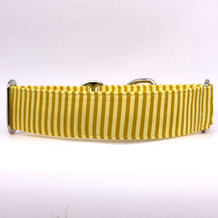 Martingale Collar - Sunbeam Stripes