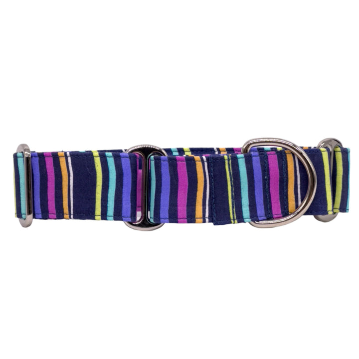 A vibrant martingale dog collar featuring bold, vertical stripes in shades of blue, green, purple, and pink. The collar is equipped with two silver metal rings and an adjustable slider for a secure fit.