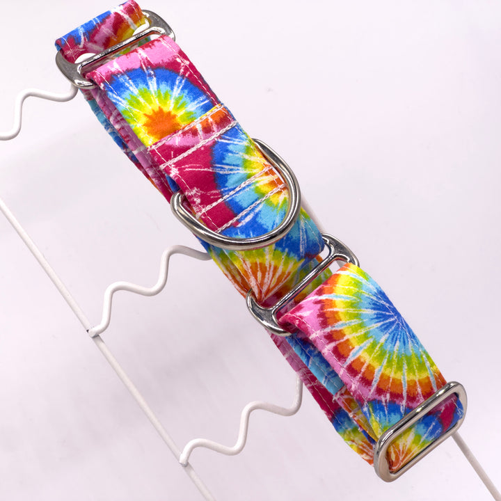 Martingale Collar - Rainbow Rapture Tie-Dye