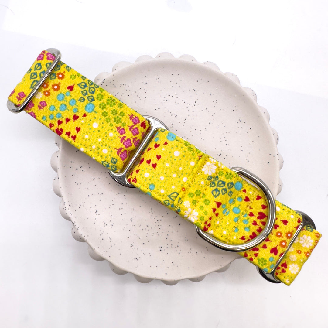 Martingale Collar - Sunsplash Blossom