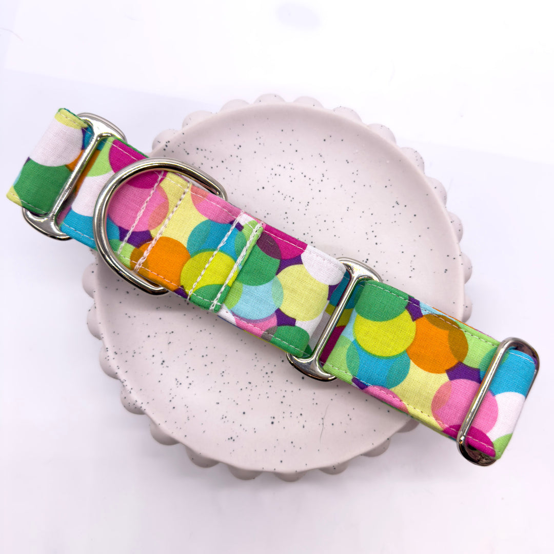 Martingale Collar - Kaleidoscope Canine