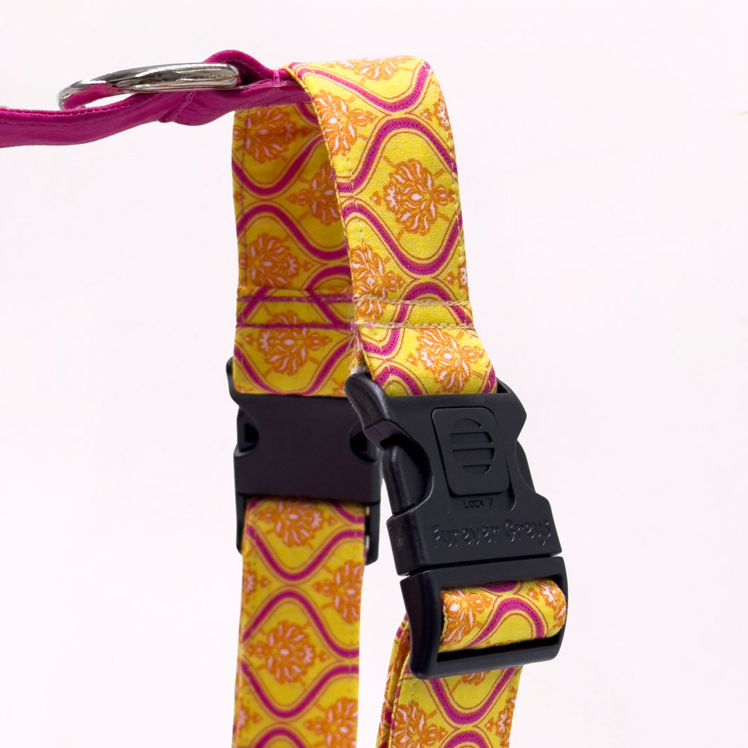 Sunny Magenta Greyhound Harness