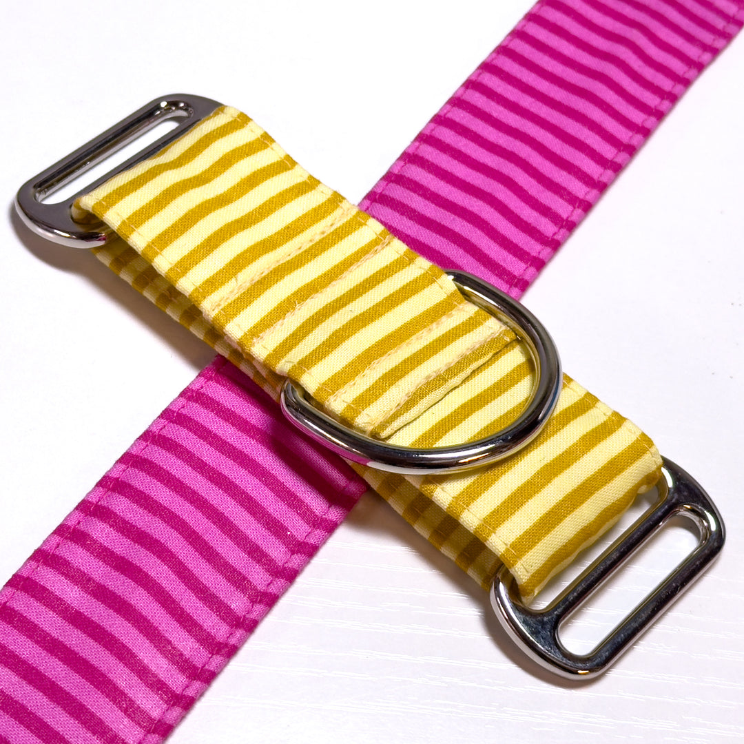 Design Your Collar - Spectrum Stripes Custom Martingale