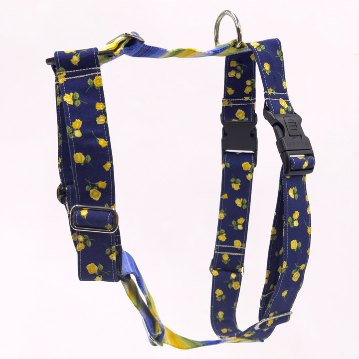 Midnight Bloom Greyhound Harness