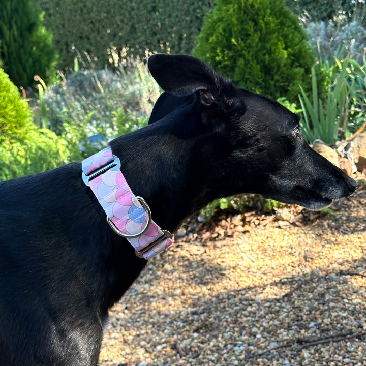 Martingale Collar - Pastel Siren Waves