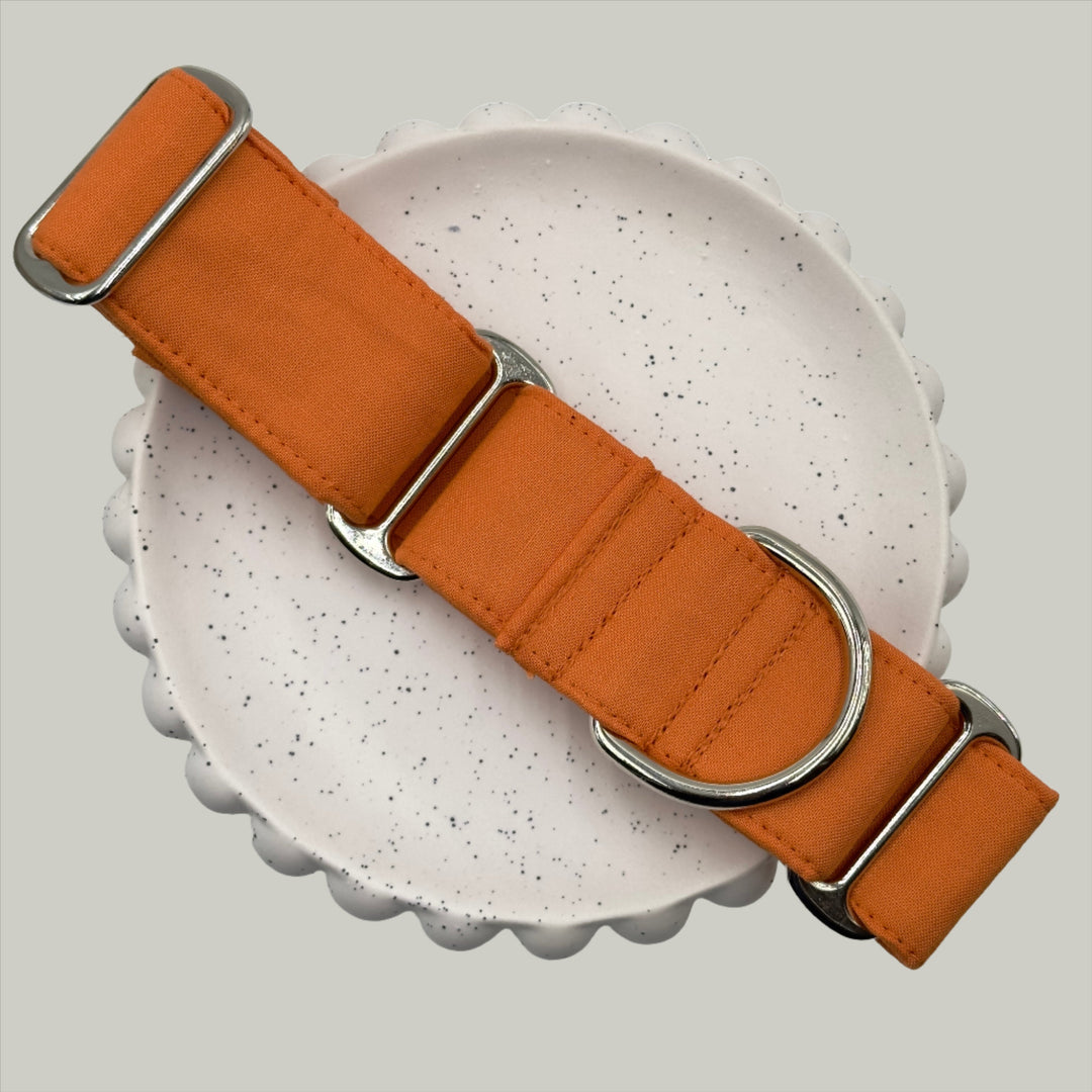 Martingale Collar - Autumn Blaze