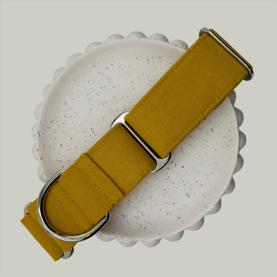 Martingale Collar - Golden Harvest