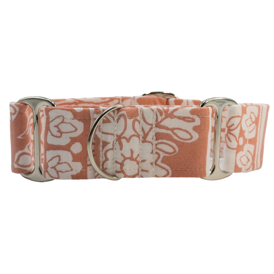 Martingale Collar - Paisley Petal