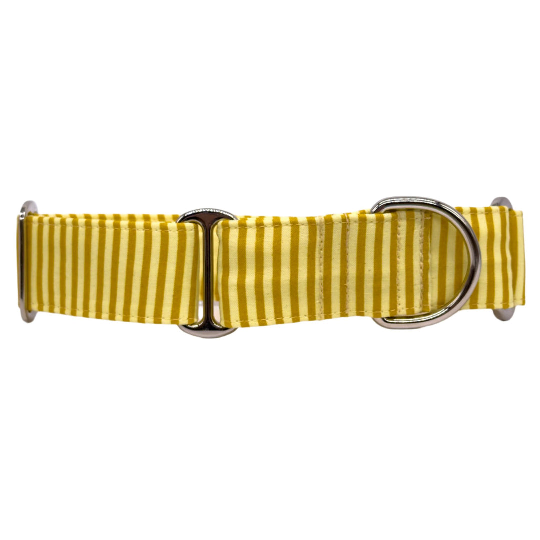 Martingale Collar - Sunbeam Stripes