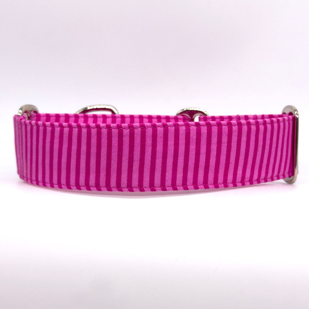 Martingale Collar - Bubblegum Bash Stripes