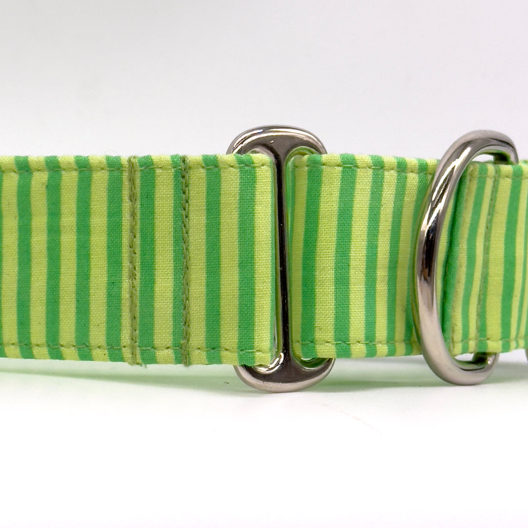 Martingale Collar - Lime Twist Stripes