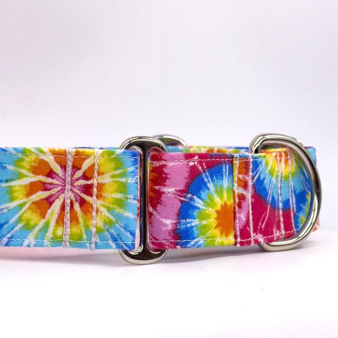 Martingale Collar - Rainbow Rapture Tie-Dye