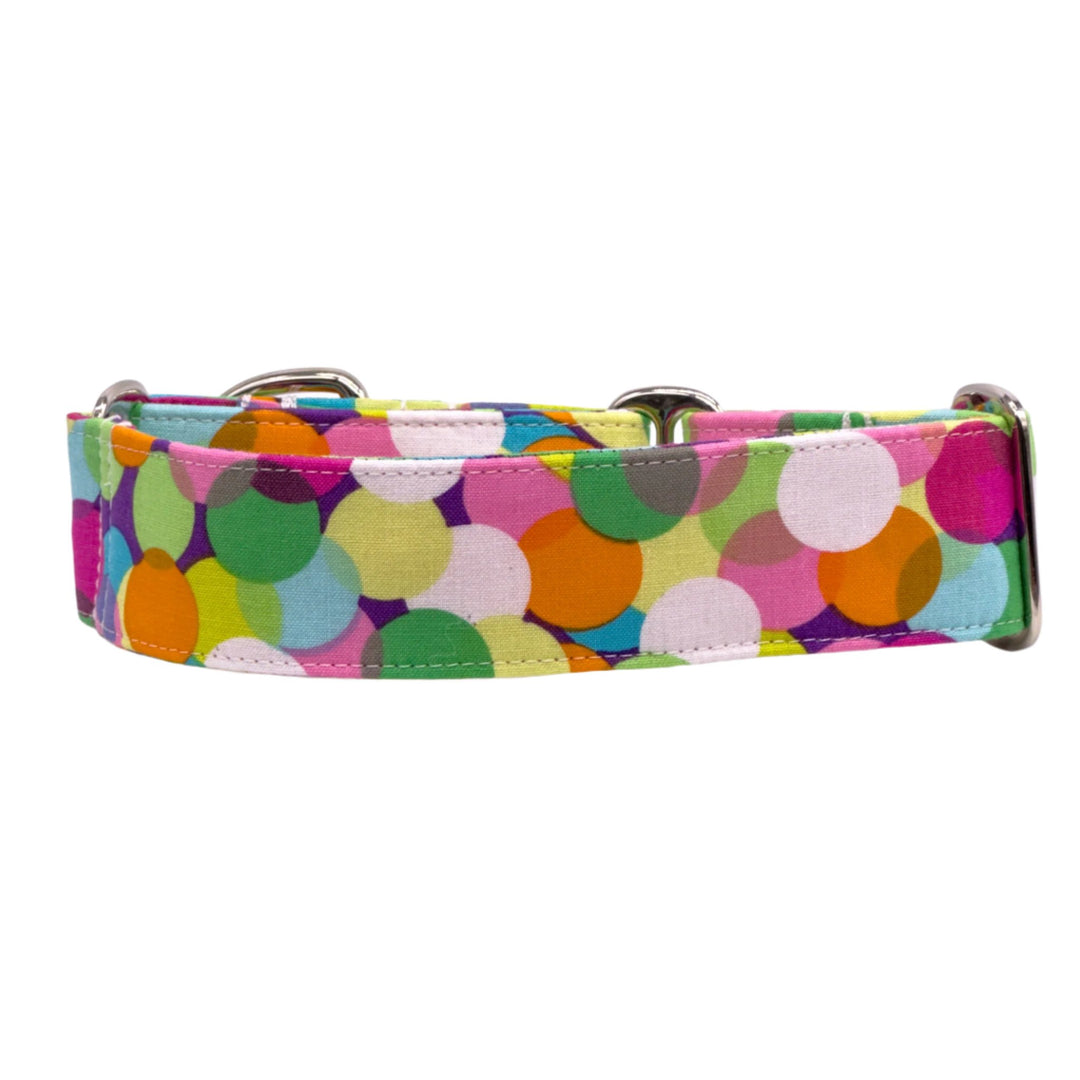 Martingale Collar - Kaleidoscope Canine