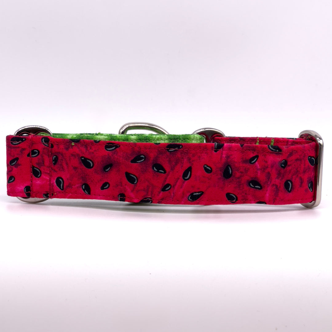 Martingale Collar - Palestine Watermelon Whisper