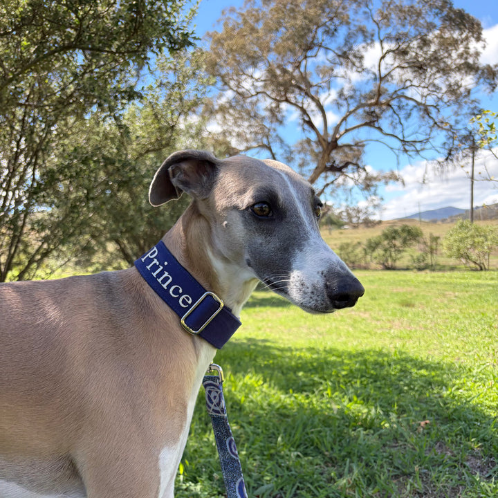 Martingale Collar - Classic Navy