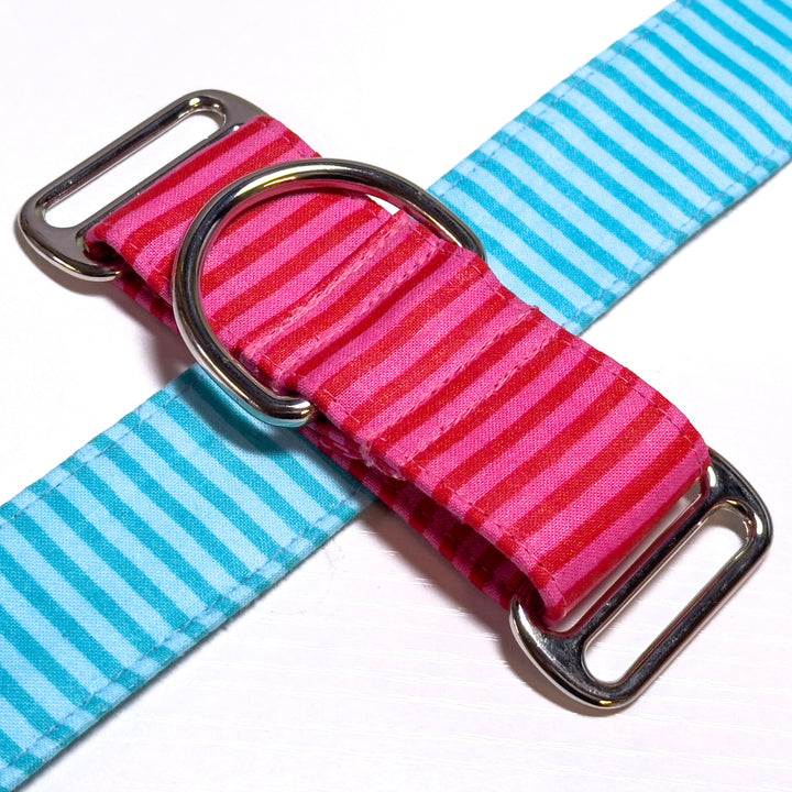 Design Your Collar - Spectrum Stripes Custom Martingale