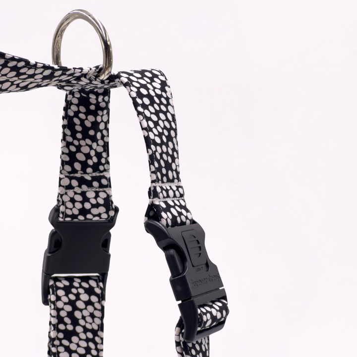 Spotted Serenity Greyhound Harness