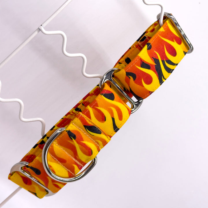 Martingale Collar - Blaze of Glory