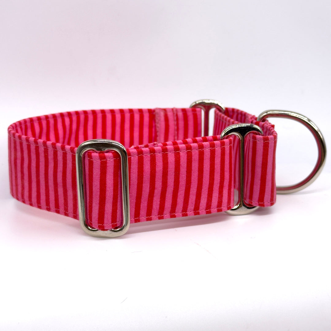 Martingale Collar - Cherry Stripes