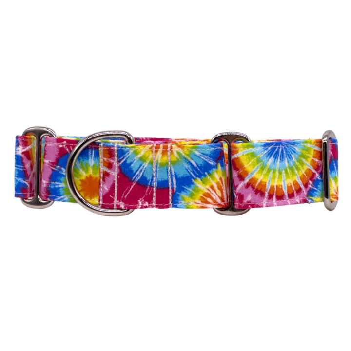 Martingale Collar - Rainbow Rapture Tie-Dye