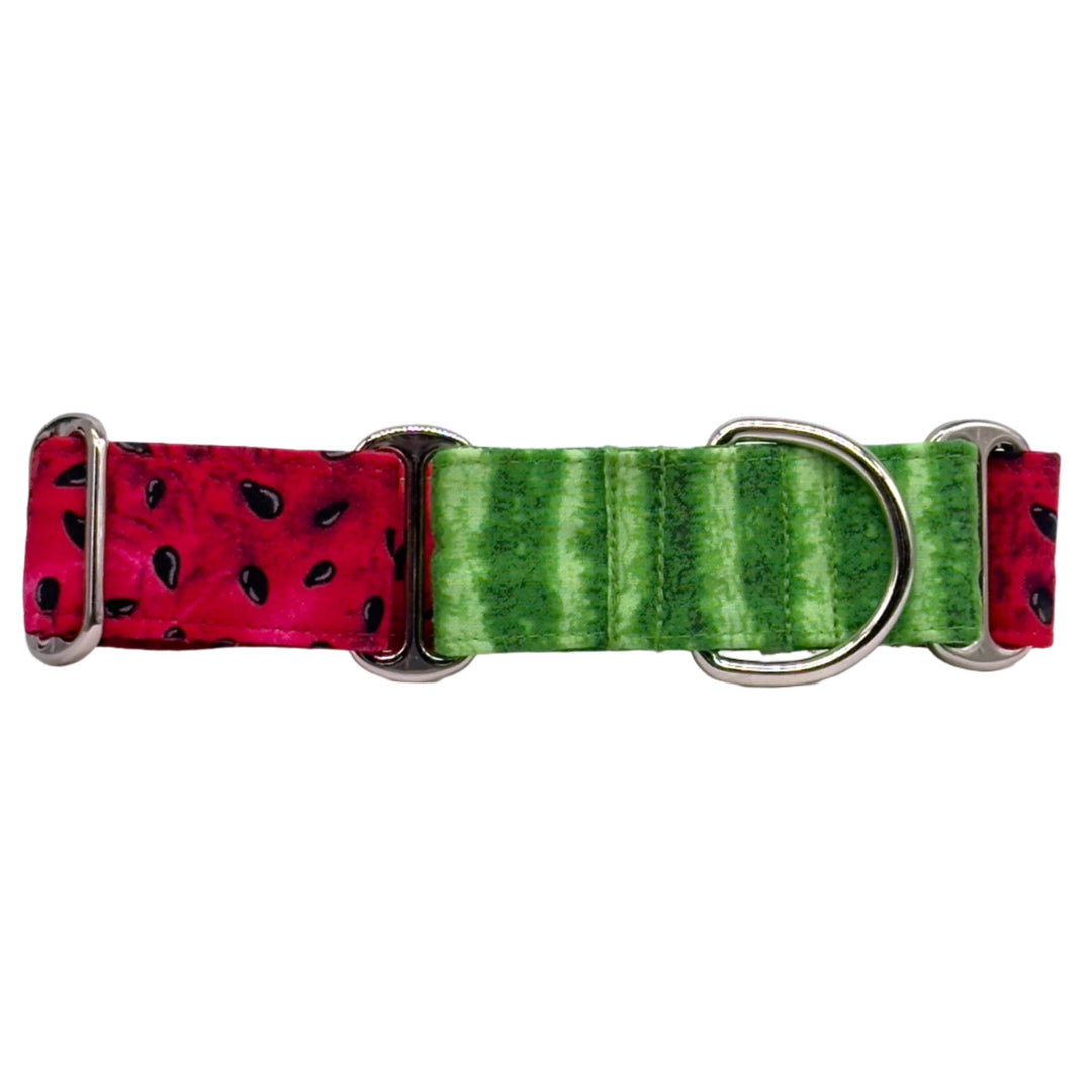 Watermelon Martingale Collar Front View