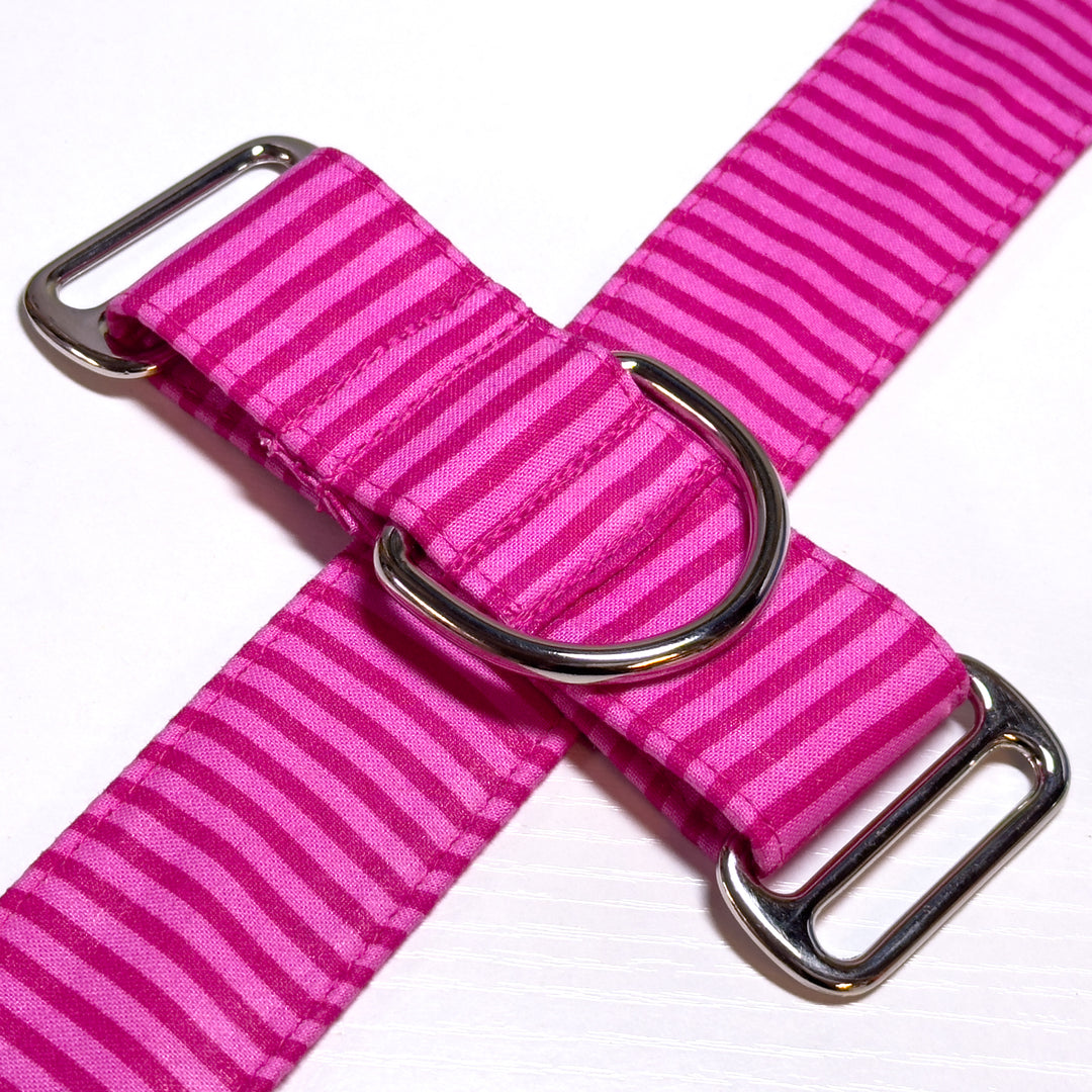 Design Your Collar - Spectrum Stripes Custom Martingale