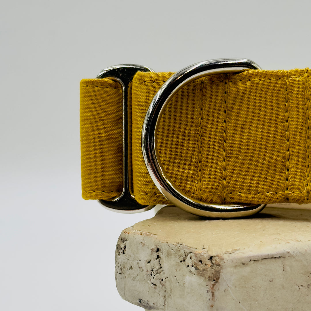 Martingale Collar - Golden Harvest