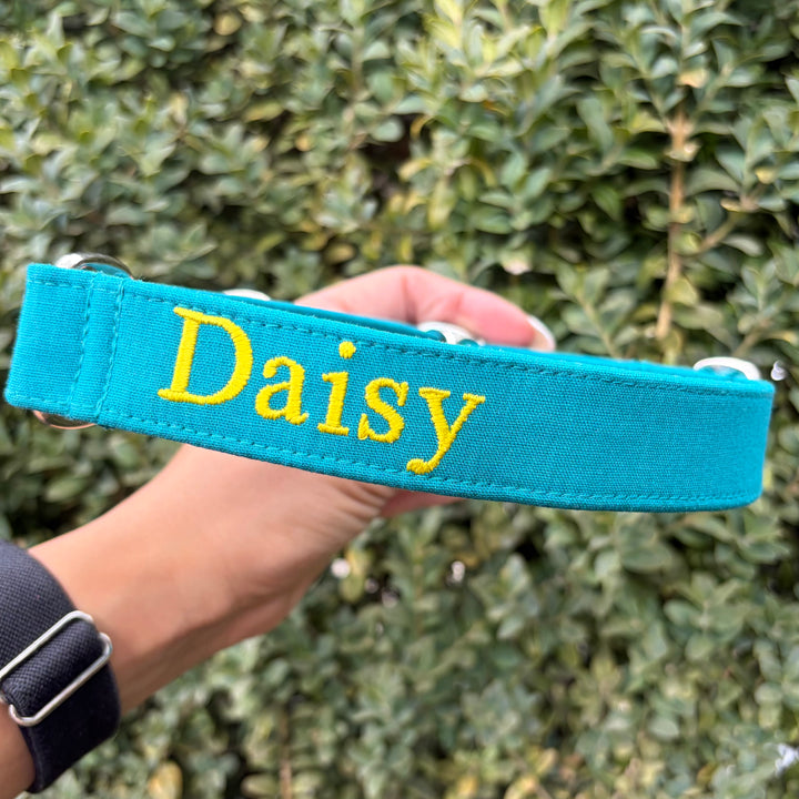 Martingale Collar - Lagoon Teal