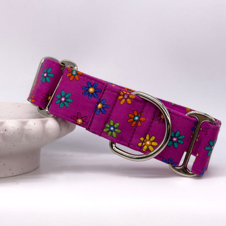 Martingale Collar - Magenta Blossom Bliss