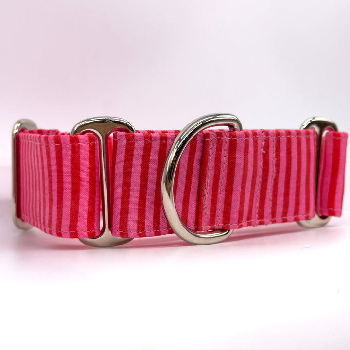 Martingale Collar - Cherry Stripes