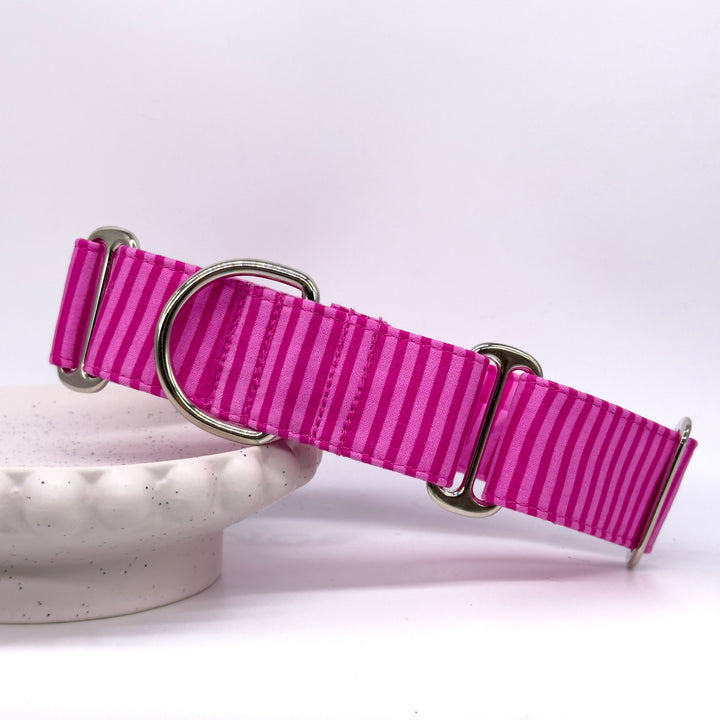 Martingale Collar - Bubblegum Bash Stripes