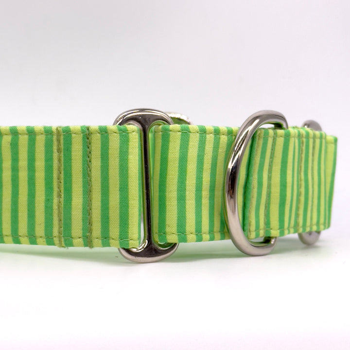 Martingale Collar - Lime Twist Stripes