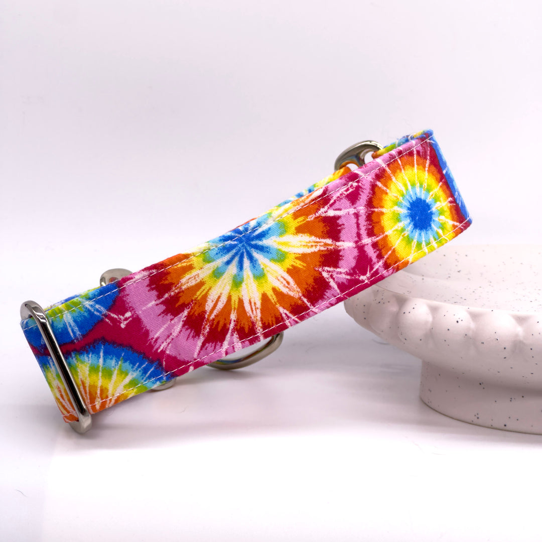 Martingale Collar - Rainbow Rapture Tie-Dye