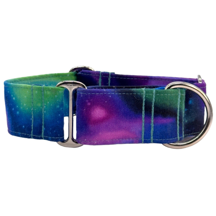 Front View Galaxy Martingale Collar