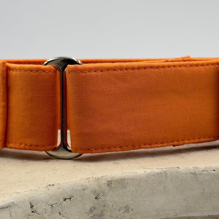 Martingale Collar - Autumn Blaze