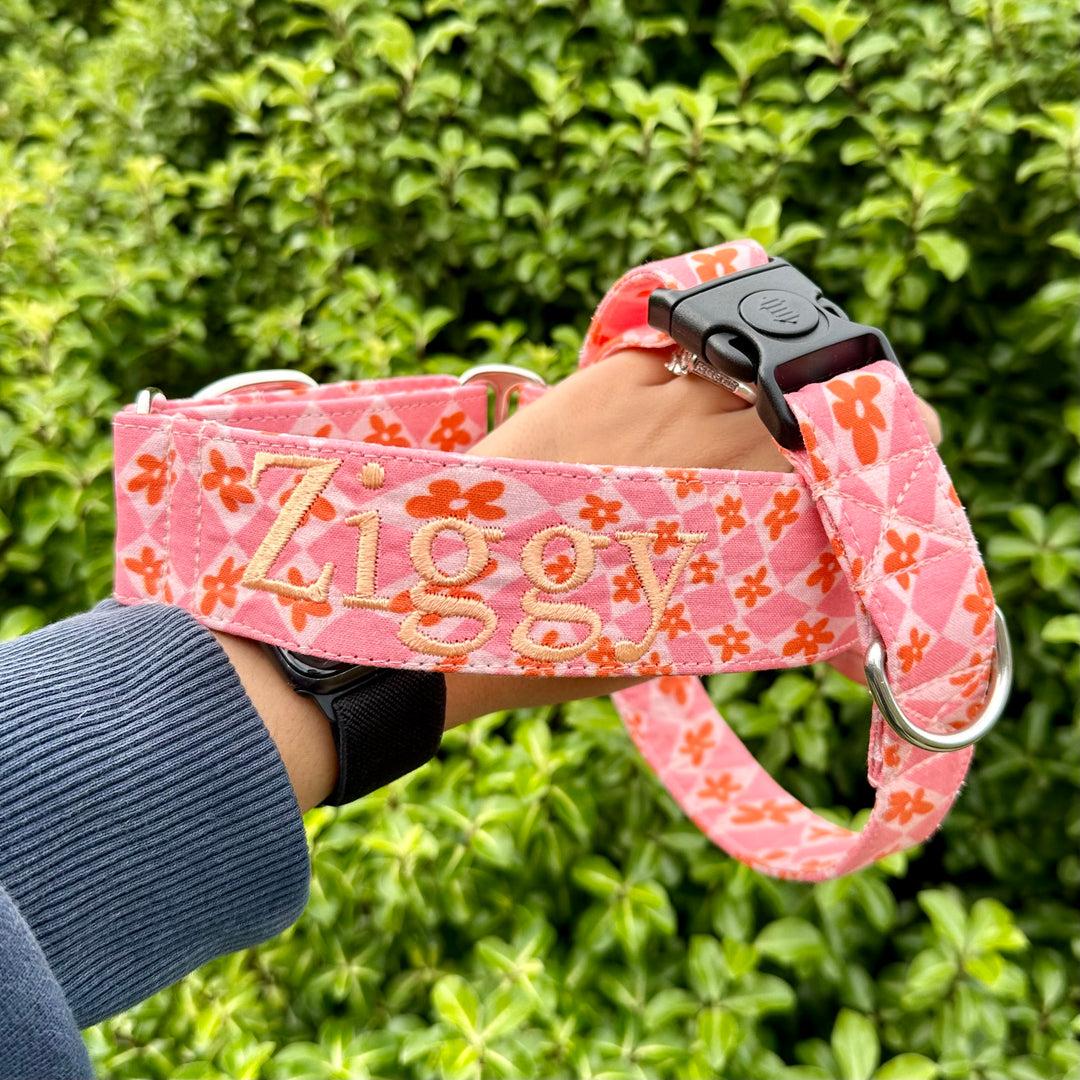 Martingale Collar - Peach Blossom Serenade