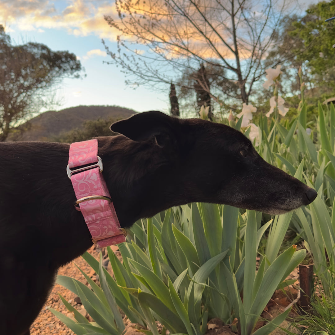 Martingale Collar - Romantic Rendezvous